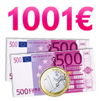 Chèque de 1001 euros Chèque de 1001 euros