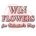 Valentines Day Flowers