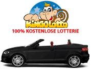 �bersicht: Wie funktioniert Kingolotto