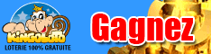 http://img.mediastay.com/m/kingoloto/1_an_de_salaire/234x60.gif